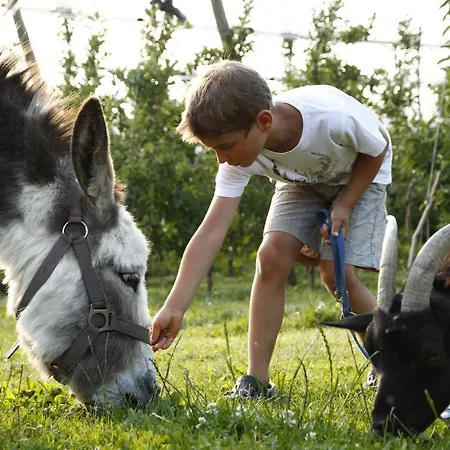 Katzenmaier, Bauernhof- Und Familienurlaub Am Bodensee, Grosszuegig Wohnen, Messenah Und Teils Barrierefrei, Spielangebot Fuer Drinnen Und Draussen, Parkplatz Am Haus, Gute Oepnv-anbindung 아파트 *