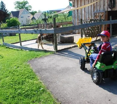 Katzenmaier, Bauernhof- Und Familienurlaub Am Bodensee, Grosszuegig Wohnen, Messenah Und Teils Barrierefrei, Spielangebot Fuer Drinnen Und Draussen, Parkplatz Am Haus, Gute Oepnv-anbindung 아파트