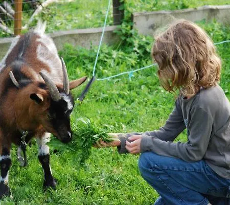 Katzenmaier, Bauernhof- Und Familienurlaub Am Bodensee, Grosszuegig Wohnen, Messenah Und Teils Barrierefrei, Spielangebot Fuer Drinnen Und Draussen, Parkplatz Am Haus, Gute Oepnv-anbindung 아파트 *
