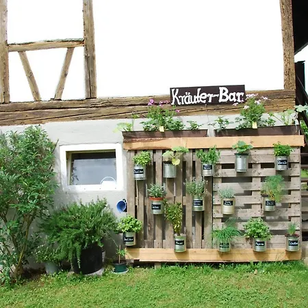 Katzenmaier, Bauernhof- Und Familienurlaub Am Bodensee, Grosszuegig Wohnen, Messenah Und Teils Barrierefrei, Spielangebot Fuer Drinnen Und Draussen, Parkplatz Am Haus, Gute Oepnv-anbindung 아파트 *