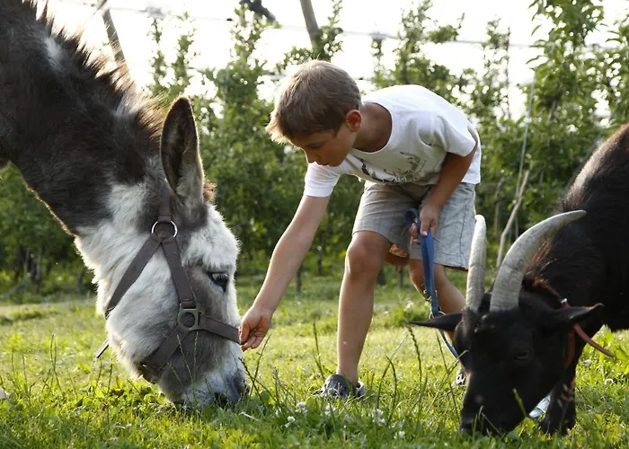 Katzenmaier, Bauernhof- Und Familienurlaub Am Bodensee, Grosszuegig Wohnen, Messenah Und Teils Barrierefrei, Spielangebot Fuer Drinnen Und Draussen, Parkplatz Am Haus, Gute Oepnv-anbindung 아파트 *
