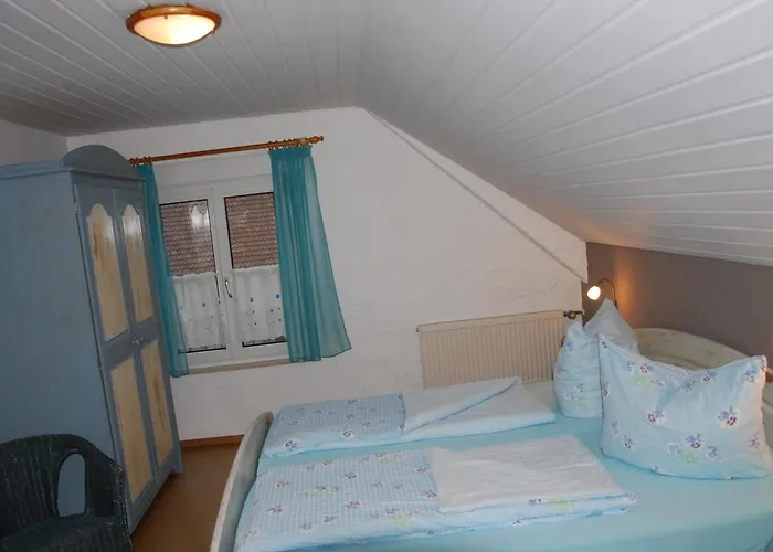 아파트 Katzenmaier, Bauernhof- Und Familienurlaub Am Bodensee, Grosszuegig Wohnen, Messenah Und Teils Barrierefrei, Spielangebot Fuer Drinnen Und Draussen, Parkplatz Am Haus, Gute Oepnv-anbindung