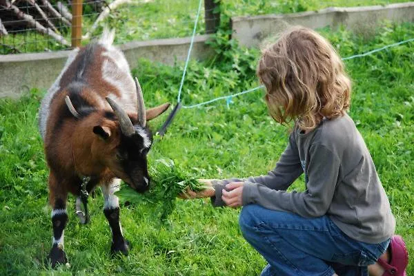 Katzenmaier, Bauernhof- Und Familienurlaub Am Bodensee, Grosszuegig Wohnen, Messenah Und Teils Barrierefrei, Spielangebot Fuer Drinnen Und Draussen, Parkplatz Am Haus, Gute Oepnv-anbindung 아파트 *