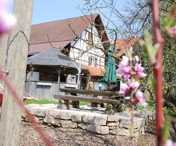 Katzenmaier, Bauernhof- Und Familienurlaub Am Bodensee, Grosszuegig Wohnen, Messenah Und Teils Barrierefrei, Spielangebot Fuer Drinnen Und Draussen, Parkplatz Am Haus, Gute Oepnv-anbindung *